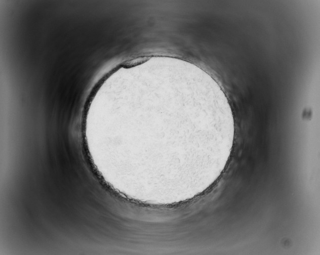 X0000103430008200810241109