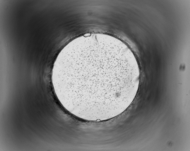 X0000103430009200810241109