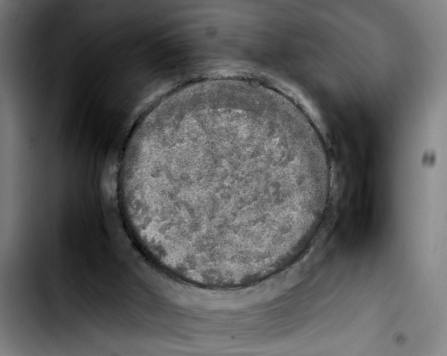 X0000103430010200810241109