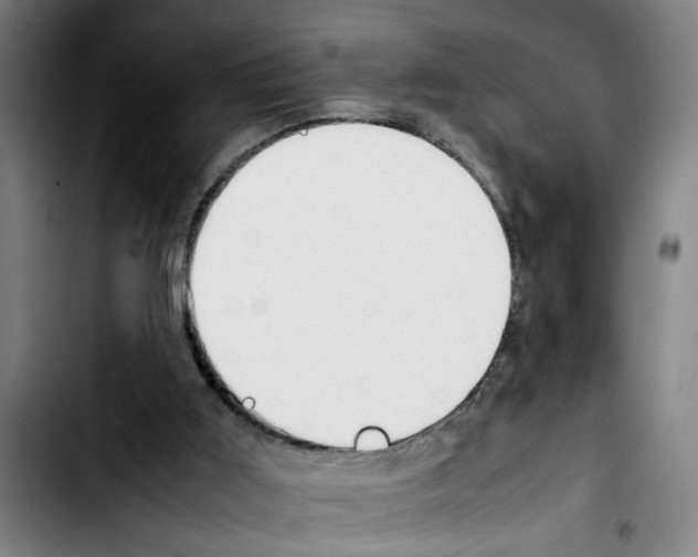 X0000103430011200810241109