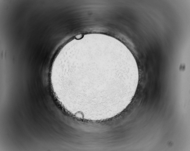 X0000103430012200810241109