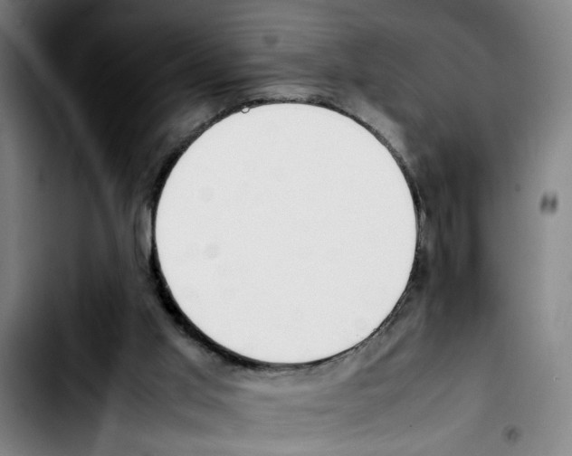 X0000103430013200810241109
