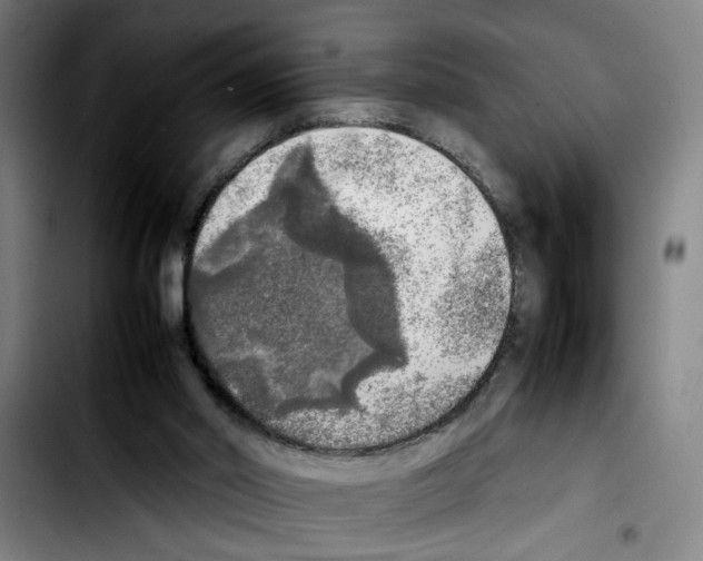 X0000103430014200810241109