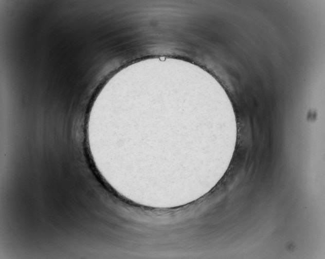 X0000103430015200810241109