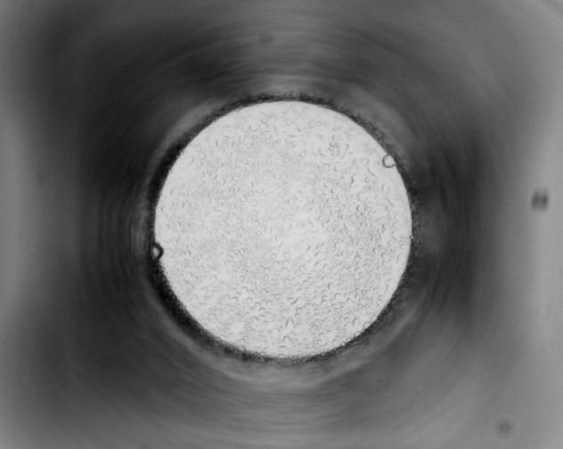 X0000103430016200810241109