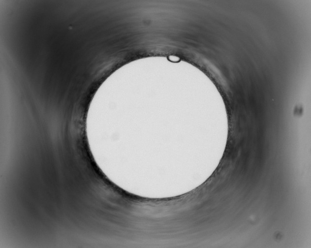 X0000103430017200810241109