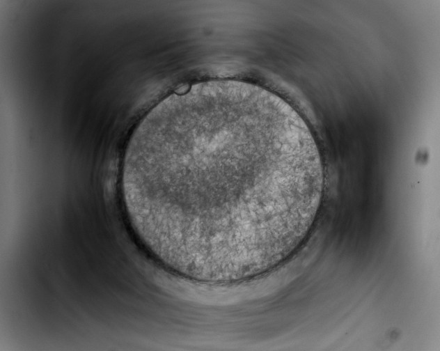 X0000103430018200810241109