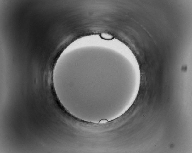 X0000103430019200810241109