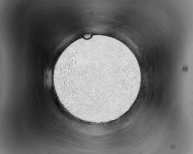 X0000103430020200810241109