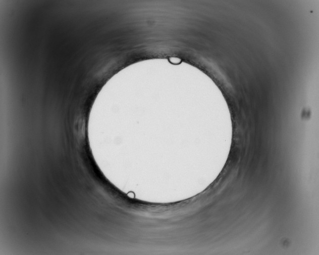 X0000103430021200810241109