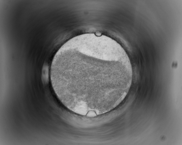 X0000103430022200810241109