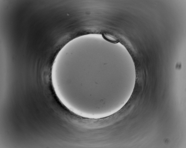X0000103430023200810241109