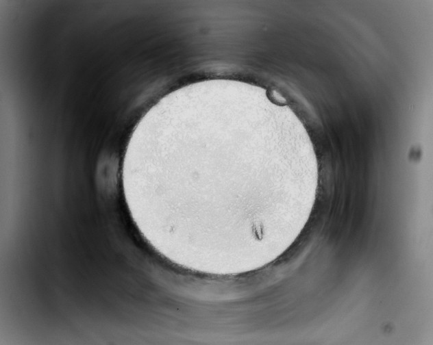 X0000103430024200810241109