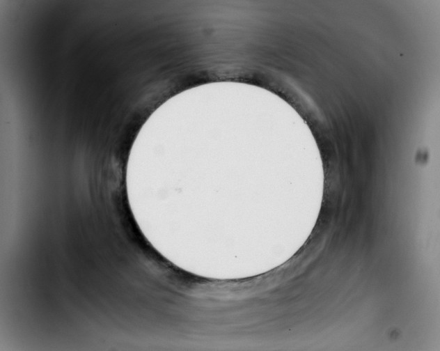 X0000103430025200810241109