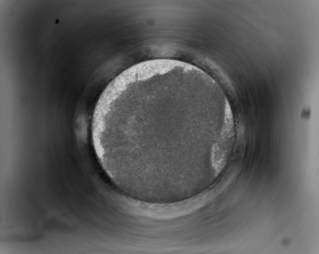 X0000103430026200810241109