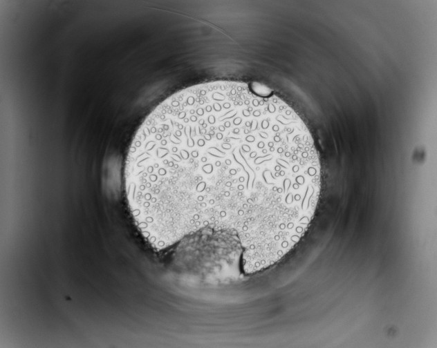 X0000103430028200810241109
