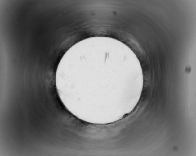 X0000103430029200810241109