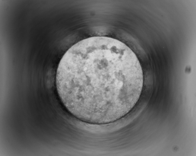 X0000103430030200810241109