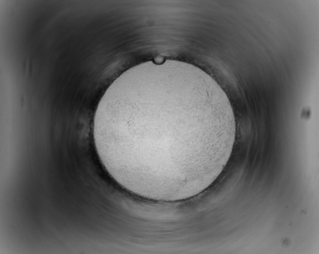 X0000103430032200810241109