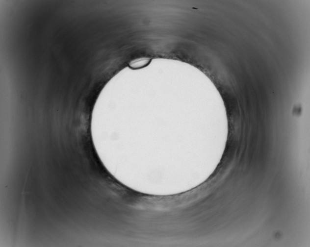 X0000103430033200810241109