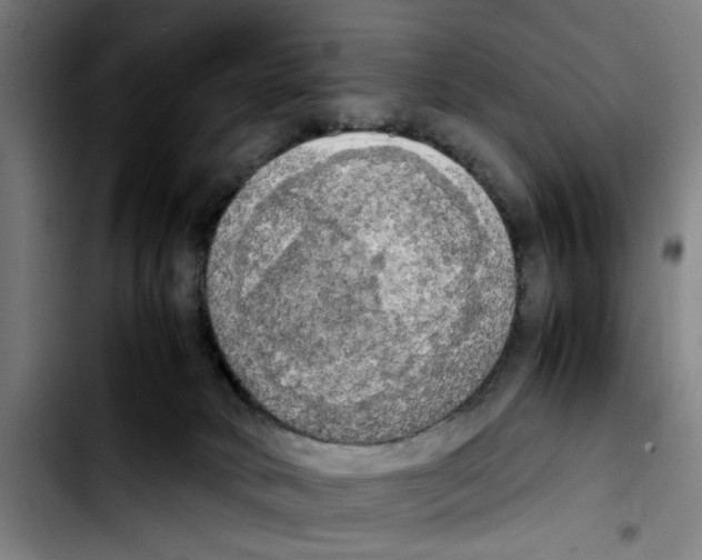 X0000103430034200810241109