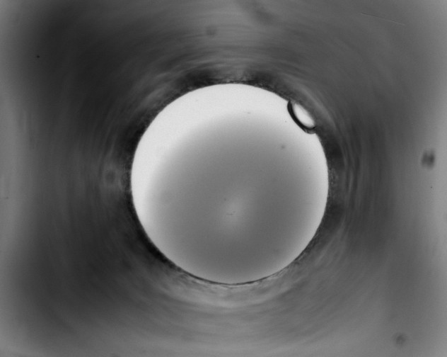 X0000103430035200810241109