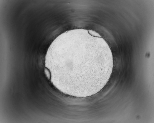 X0000103430036200810241109