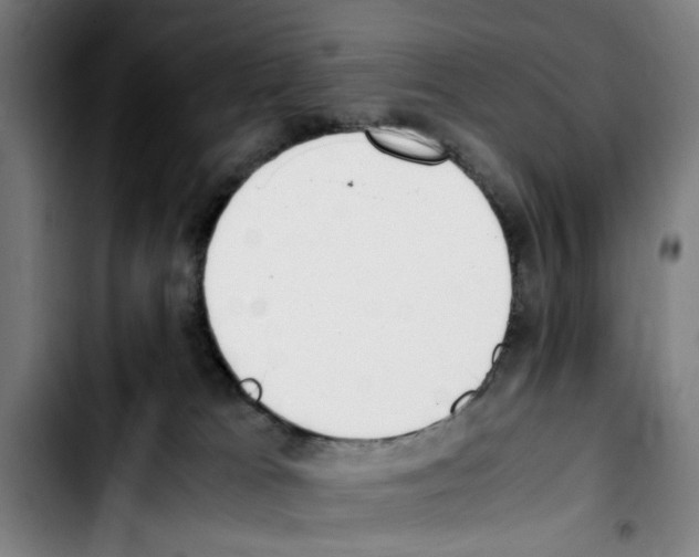 X0000103430037200810241109
