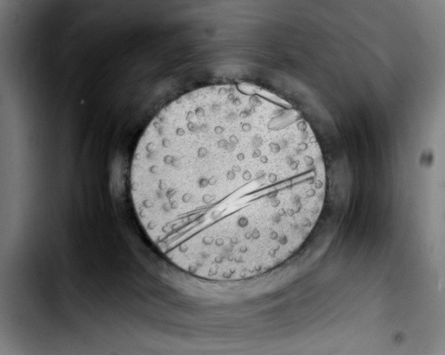 X0000103430038200810241109
