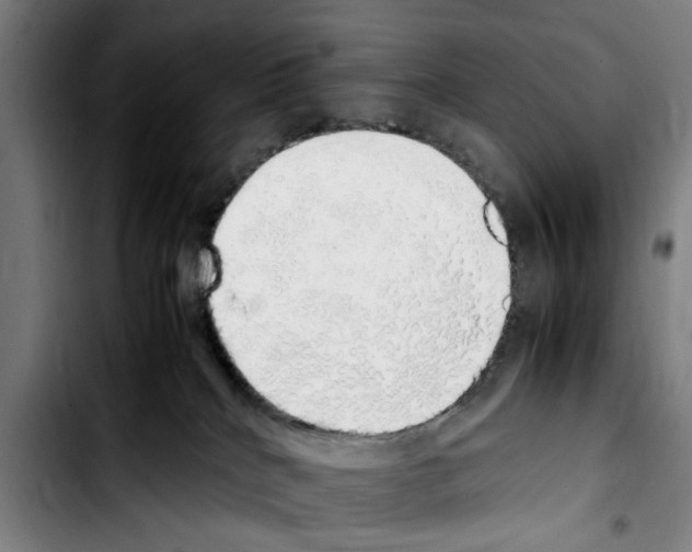 X0000103430040200810241109