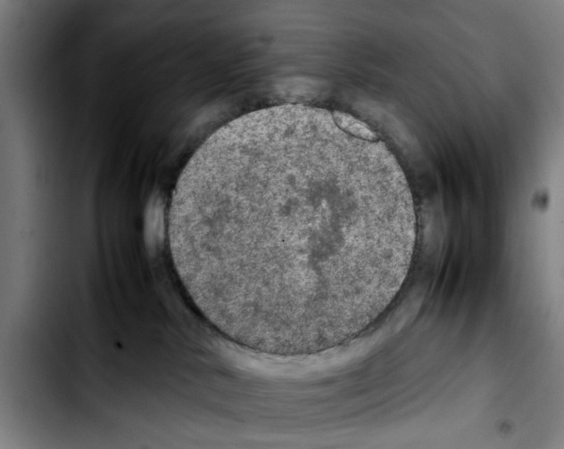 X0000103430042200810241109