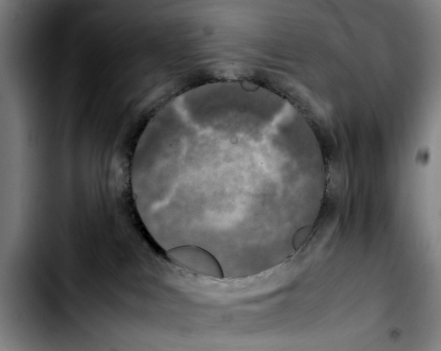 X0000103430043200810241109