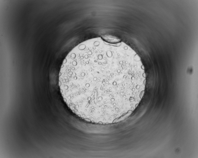 X0000103430044200810241109