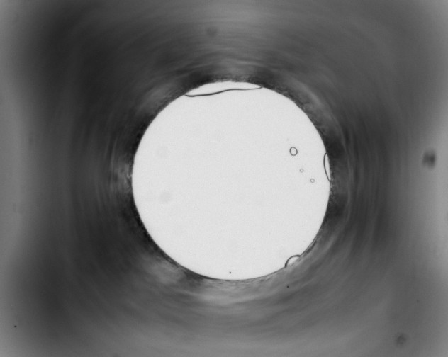 X0000103430045200810241109