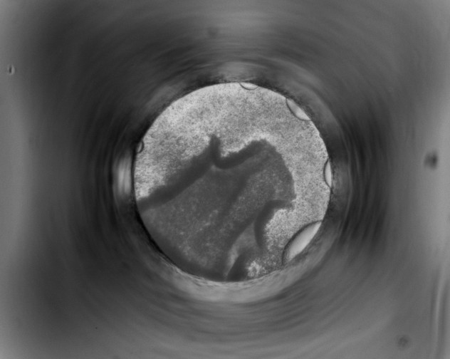 X0000103430046200810241109