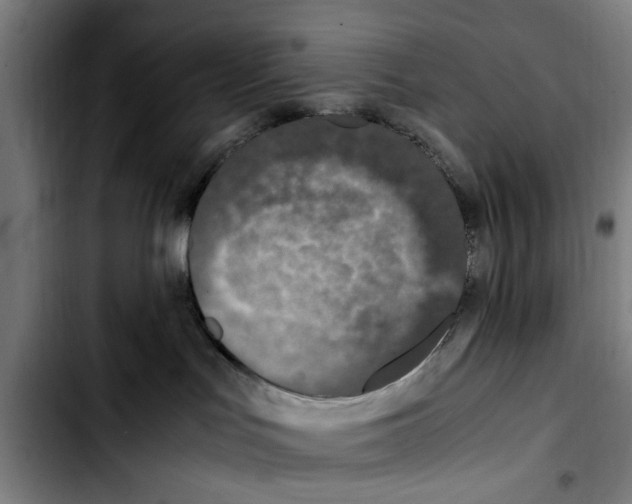 X0000103430047200810241109