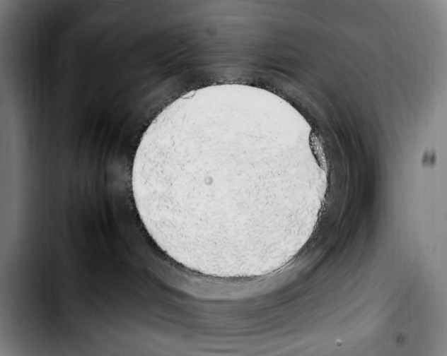 X0000103430048200810241108