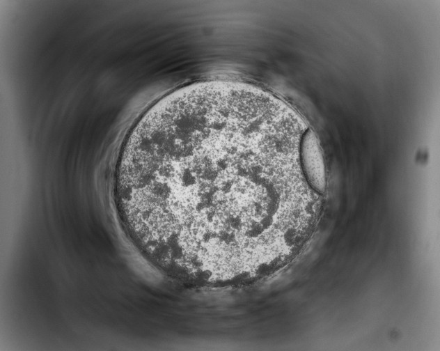 X0000103430049200810241108