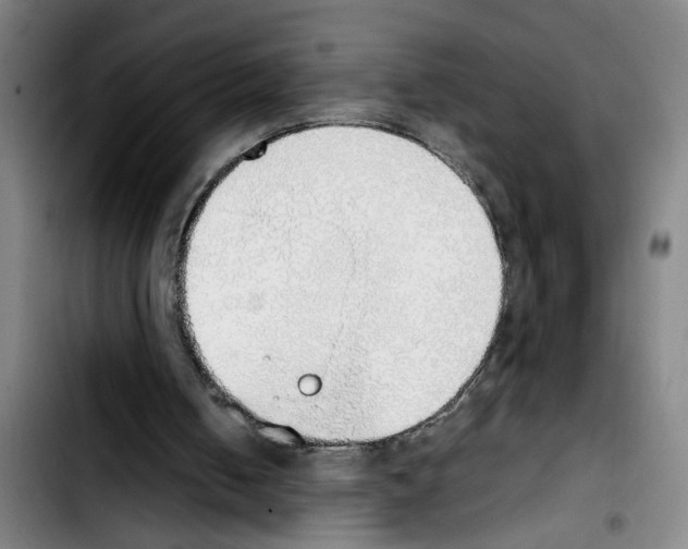 X0000103430050200810241108
