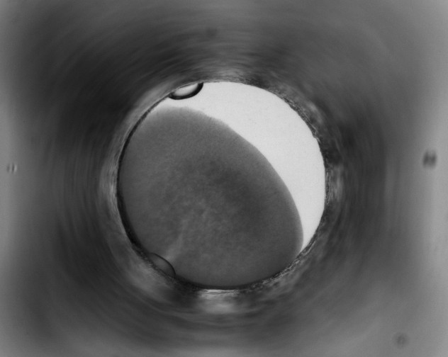 X0000103430051200810241108