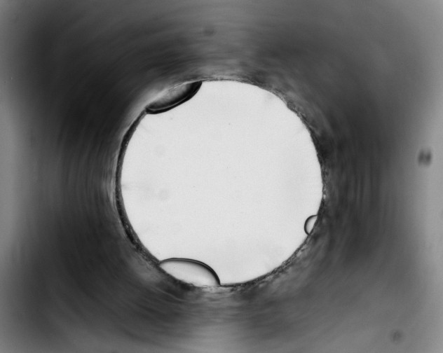 X0000103430052200810241108