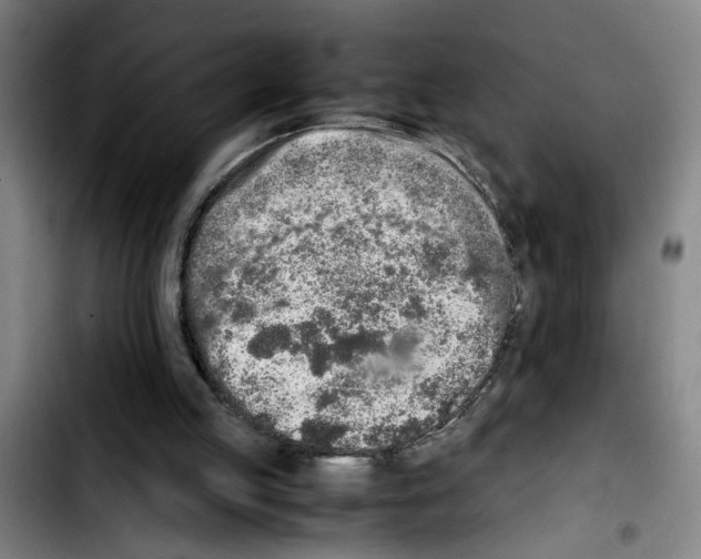 X0000103430053200810241108