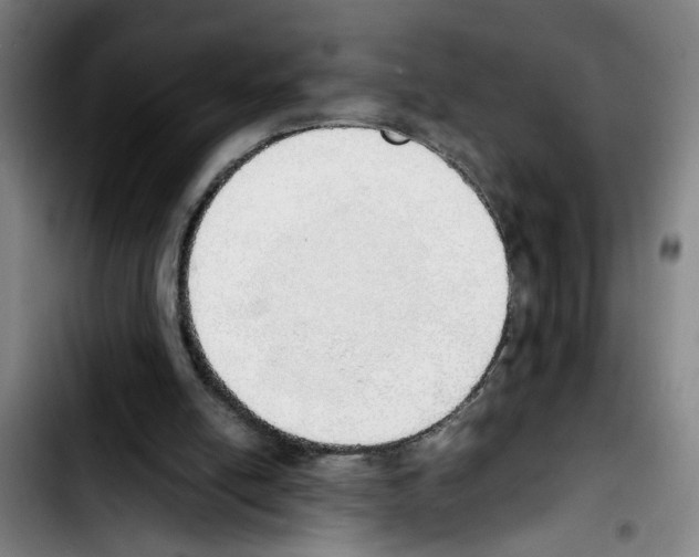 X0000103430054200810241108