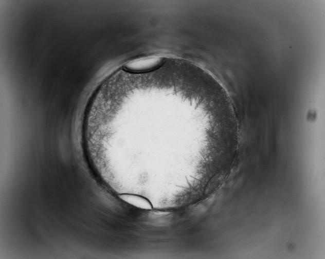 X0000103430055200810241108