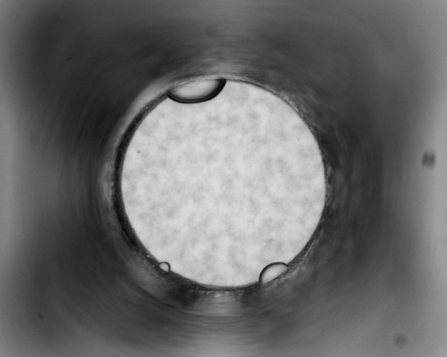X0000103430056200810241108