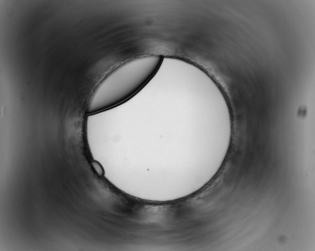 X0000103430057200810241108