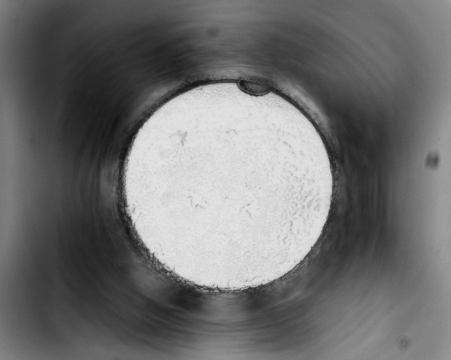 X0000103430058200810241108