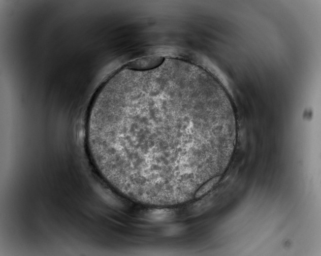 X0000103430059200810241108