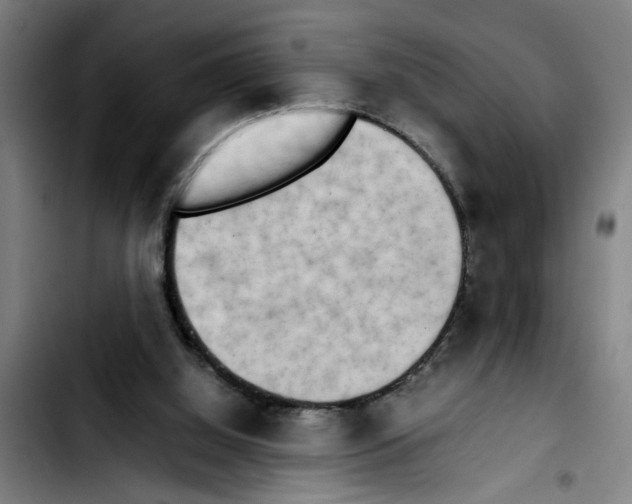 X0000103430060200810241108