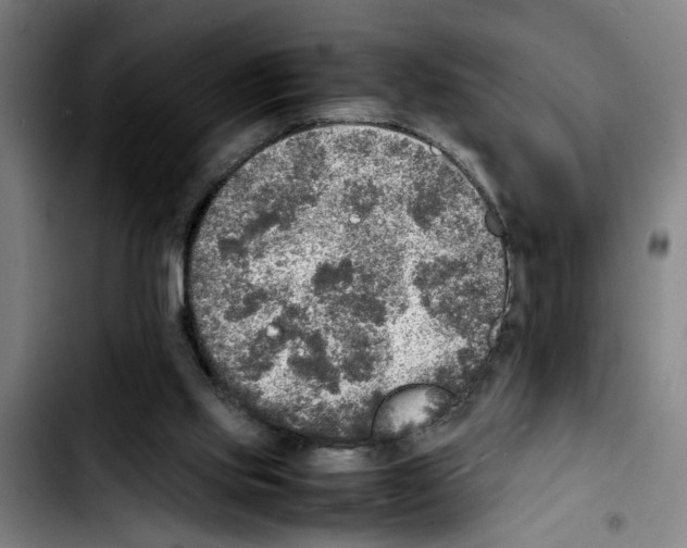 X0000103430061200810241108